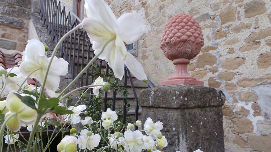 Casa Vacanze Villa Maria Anghiari Esterno foto