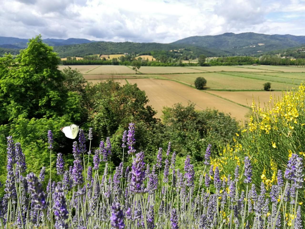 Casa Vacanze Villa Maria Anghiari Esterno foto