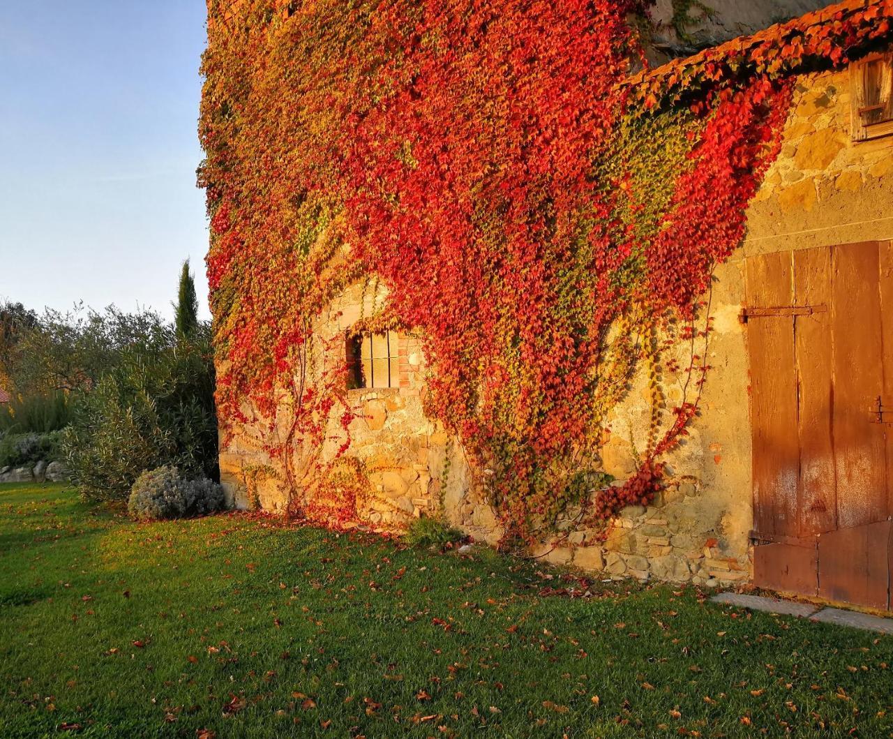 Casa Vacanze Villa Maria Anghiari Esterno foto