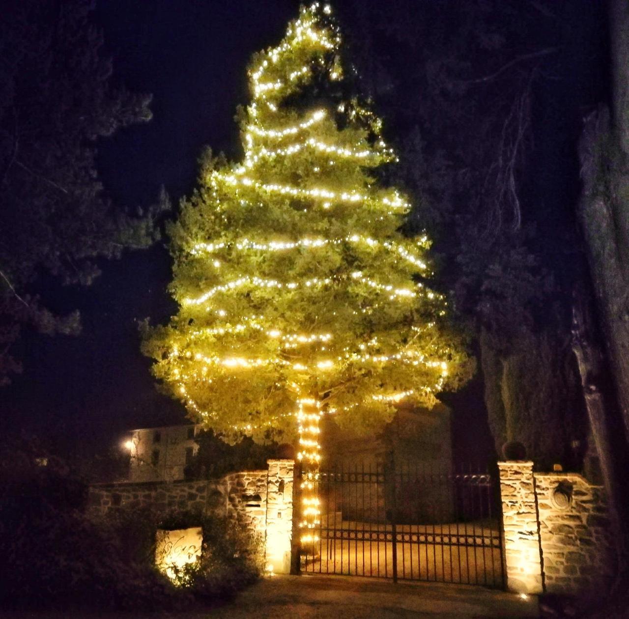 Casa Vacanze Villa Maria Anghiari Esterno foto